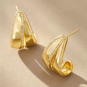 NWT Split Curve Earrings
